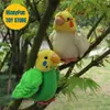 Perruche calopsitte perroquet Anime mignon peluche perruche oiseau jouets en peluche animaux réalistes Simulation peluche poupée enfant 240321