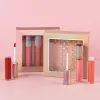 Le maquillage végétalien de Lipgloss de marque privée définit le kit de maquillage pour les lèvres en gros de haute qualité q5oy #