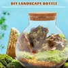 Wazony szklany mikro krajobraz butelka soczystej rośliny powietrznej Terrarium DIY Cork pojemnik