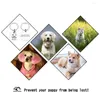 Hundemarke, individueller Katzen-ID-Name, glänzende Katzenhalsbänder, Edelstahl-Haustiermarken für Kätzchen, graviertes Halsbandzubehör