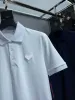 Heren T-shirts Polo's Shirt Ijskatoenen Shirt Ademend Zomer Korte Polo Man Tops Tees Designer T-shirts Aziatische maat S-5XL