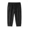 Men's Shorts 2024 Summer Men Thin Ice Silk Cropped Sports Loose High-stretch Casual Pants Quick Dry Clothes