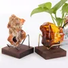 Jewelry Pouches Display Stand For Gemstone Mineral Specimens Citrine Amethyst Arm