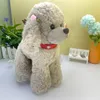 Collare per cuccioli di collare per cani con zampa carino in pelle PU alla moda per gatti di piccola taglia