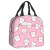 Sacs de rangement Dentiste Mignon Modèle Isolé Hommes Femmes Dent Réutilisable Refroidisseur Thermique Boîte À Lunch Pour Enfants École