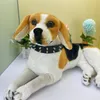 Coleira de cachorro com pontas duplas de couro PU da moda com tachas para cães médios e grandes