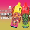 Originele Bang box 12000 trekjes 12 smaken Wegwerp Vape vape bang box 12K23ml 650 mah 15000 trekjes oplaadbare batterij LED kleur verlichting kit