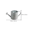 Vase 2PCS Garden Watering Iran Iron Bucket Portable Kettle for Indoor Outdoor