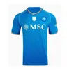 23 24 Maillots de football Maglia Napoli 2023 2024 Naples Kit enfants Maillot de football KVARATSKHELIA SIMEONE OSIMHEN PRE MATCH HALLOWEEN Partout Edition Limitée Le Gris