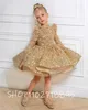 Księżniczka Gold Flower Girl Sukienki na wesela 2023 cekiny Dzieci Tiul Bow Krótkie suknie.