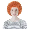 Pruiken Miss U Haar Kort Krullend Oranje Afro Pruik Cosplay Halloween Pruik Synthetische Pluizige Meisjes Vrouwen