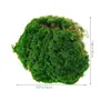 السجاد الطحلب الاصطناعي المزيف العشب العشب الميكرو الملحق المملوءة الزخرفية