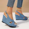 Sandaler Cowboy High Heels Women Platform Shoes Wedges Dress Peep Toe Slippers Summer 2024 Designer Pumpar Kvinna Zapatillas