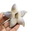 Figurki dekoracyjne 1 PCS Naturalny agat Geode Crystal Starfish rzemieślniczy ornament