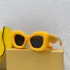 Lunettes de soleil de mode de créateur L40100, monture ultra épaisse, lunettes de soleil de luxe elliptiques pour femmes disponibles en neuf couleurs avec emballage spécial