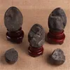 Figurines décoratines Crystals et gemmes Géode Géode Pierres Spécimen minéral Spécimen d'oeufs de pierre septaire pour décoration de la maison