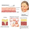 EMS Microcourant Eye Beauty Masseur Lifting du visage Resserrement de la peau Anti-rides Stimulateur musculaire Dispositif d'élimination des cernes M0kn #