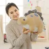 Jouets Dinosaure En Peluche 3050cm Câlin Enfants Poupées En Peluche Oreiller Dessin Animé Dino Sommeil Cadeaux Doux Pour Anniversaire Animal Belle L5590390 Wllcm