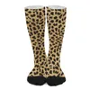 Kvinnors strumpor Cheetah Brown Hidden Leopard grafiska trendiga strumpor Autumn Non Slip Men bekväm design utomhus