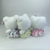 Wholesale new flowers kitten plush toys Children's games Playmates Holiday gifts Bedroom decoration