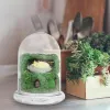 Vaser glas öken dekor container landskap: miniatyr planter burk cloche kupol öken dekor skål vas 12x16 cm