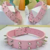 Fashion PU Leather Double Row Spiked Dog Collar with Studs for Medium Dogs Large Dogs