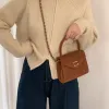 Sac à chaîne design givré rétro boucle de verrouillage sac à bandoulière unique sac à main minimaliste automne et hiver sac à bandoulière pour femmes