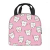 Storage Bags Dentist Cute Pattern Insulated Men Women Tooth Resuable Cooler Thermal Food Lunch Box For Kids School