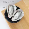 Decorative Flowers BBQ Oyster Model Creative Simulation Seafood Props Collectible Dollhouse 10pc/lot