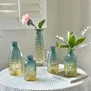 Transparante Glazen Vaas Reliëf Hydrocultuur Bloemstuk Fles Ornamenten Aromatherapie Kamer Desktop Decor 240308