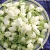 Naturliga jasminknoppar torkad blomma för jasminhuvud rökelse påsar bröllopsljus hartsmycken parfym som gör 100 g/200 g 240321