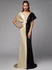 Runway Dresses Sheath / Column Color Block Celebrity Style Formal Evening Dress Plunging Neck V Back Short Sleeve Sweep Brush Train Satin