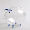 Vases Pot de plante de vase hydroponique en verre en forme de cochon pour le salon à la maison
