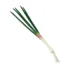 Decorative Flowers Artificial Green Onion Pography Simulation PU Vegetable Home Kitchen Decoration Fake