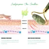 Инструмент Натуральный Массажер Для Лица Xiuyu Нефритовый Ролик Гуа Ша Набор Досок Двойные Головки Нефритовый Камень Подтяжка Лица Тонкий Массаж Инструмент Для Ухода За Красотой