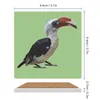 Maty stołowe V jest dla Von der Decken Hornbill Ceramic Coasters (kwadratowe) napoje ustawione białe łupki