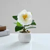 Fiori decorativi Fiore artificiale di camelia Mini Bonsai Piante in vaso simulate Tavolo da ufficio finto Ornamento Camera Decorazione del giardino di casa