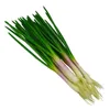Decorative Flowers Artificial Green Onion Pography Simulation PU Vegetable Home Kitchen Decoration Fake
