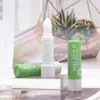 24pcs Aloe Lip Balm Plant Natural Plant Clear ترطيب الشفاه بلسم مجموعة الأطفال Girls Lips Care Gifts بالجملة J0GN#