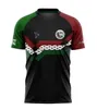 2023 2024 2025 CD Jerseys de futebol Palestino Chile Carrasco Sosa Salas Davila Farias Away 3rd 21 22 23 23 2425 Camisa de futebol da Palestina