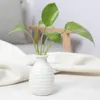 Vases Plante Vase en céramique hydroponique Creative Promouvoir une croissance saine Planteur pour la décoration de bureau d'appartement à la maison