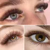 Brown Premade Fans Eyelash 500 st Pointy Thin Base Promade Loose Stable D Curl Mix Lenders Pre Made Volume Lash 240319