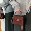 Sac à chaîne design givré rétro boucle de verrouillage sac à bandoulière unique sac à main minimaliste automne et hiver sac à bandoulière pour femmes