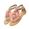 Frauen Sandalen Böhmen Stil Sommer Schuhe Frau Strand Bequeme Flache Sandalen Blume Alias Flip-Flops Plus Größe 43 WSH4021 240318