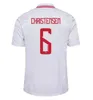 2024 دنمارك كرة القدم قمصان ERIKSEN Home Red Away White 24 25 Hojbjerg Christensen Skov Olsen Braithwaite Dolberg Football Dortse Jersey