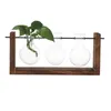 Jardinière en verre de terrarium de vases avec support en bois montable au mur pour le bureau de table