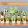 12 Stuks 3D Plastic Magneten Set Decor Levensechte Planten Magnetische Sticker Voor Koelkast Prikbord Potplant 240318