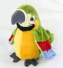 Barn Electric Plush Toys kan lära sig att prata papegoja fläktvingar upprepade läsning av tunga röstinspelning dockor för barngåva 240321