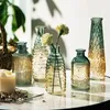 Transparante Glazen Vaas Reliëf Hydrocultuur Bloemstuk Fles Ornamenten Aromatherapie Kamer Desktop Decor 240308