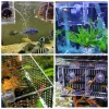 Tools Acrylic Fish Tank Breeding Isolation Box Aquarium Hatchery Incubator Holder Small Fish Isolation Net Home Aquarium Accessories